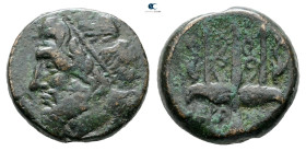 Sicily. Syracuse. Hieron II 275-215 BC. Bronze Æ
