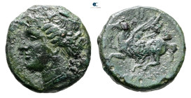 Sicily. Syracuse. Time of Hieron II 275-216 BC. Bronze Æ