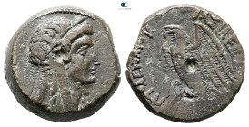 Ptolemaic Kingdom of Egypt. Alexandria. Ptolemy VI Philometor 180-145 BC. Bronze Æ