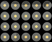 Australien
Elisabeth II., 1952-2024
20 Jahre Kookaburra Jubiläums Goldset 2009. 20 X 1/20 Unze je 1,55 g. 999/1000. Insg. 31 g. In Originalschatulle...
