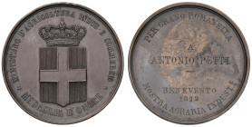 SAVOIA.Vittorio Emanuele II (1861-1878). Medaglia d'Onore 1872 del Ministero d'Agricoltura, Industria e Commercio per la Mostra Agraria Industriale di...