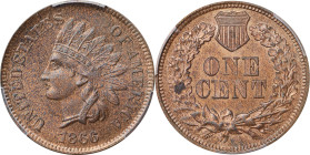 1866 Indian Cent. Unc Details--Questionable Color (PCGS).

PCGS# 2085. NGC ID: 227P.