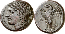 (287-278 a.C.). Sicilia. Siracusa. AE 20. (S. 1211 var) (CNG. II, 1448). Acuñada bajo Hiketas. 6,17 g. MBC+.