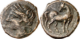 Zeugitana. (s. III a.C.). Cartago. AE 21. (S. 6512 var) (SNG. Copenhague 314). 4,38 g. MBC-/MBC.