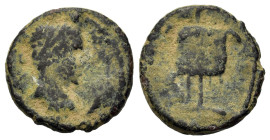Provincial. Uncertain coin. Æ (16.3mm,3g). To be catalogued.