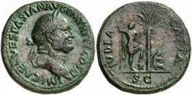 (71 d.C.). Vespasiano. Sestercio. (Spink 2327 var) (Co. 239 var) (RIC. 168). 27,23 g. Campos repasados. Rara. (MBC+).