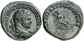 (213 d.C.). Caracalla. Sestercio. (Spink 6952 var) (Co. 579 var) (RIC. 536b). 26,64 g. Campos algo repasados. Pátina verde. (MBC+).