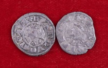 Jaume II (1291-1327). Barcelona. Diner (dos). (Cru.V.S. 340 y 340.1) (Cru.C.G. 2158 y 2158a). Lote de 2 monedas. MBC-/MBC.