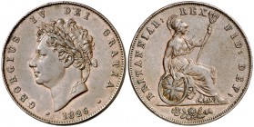 1826. Gran Bretaña. Jorge IV. 1/2 penique. (Kr. 692). 9,48 g. CU. Leves rayitas. Atractiva. Escasa así. EBC.