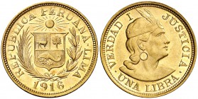 1916. Perú. Lima. 1 libra. (Fr. 73) (Kr. 207). 7,98 g. AU. EBC+.