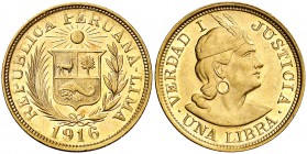 1916. Perú. Lima. 1 libra. (Fr. 73) (Kr. 207). 7,98 g. AU. EBC+.