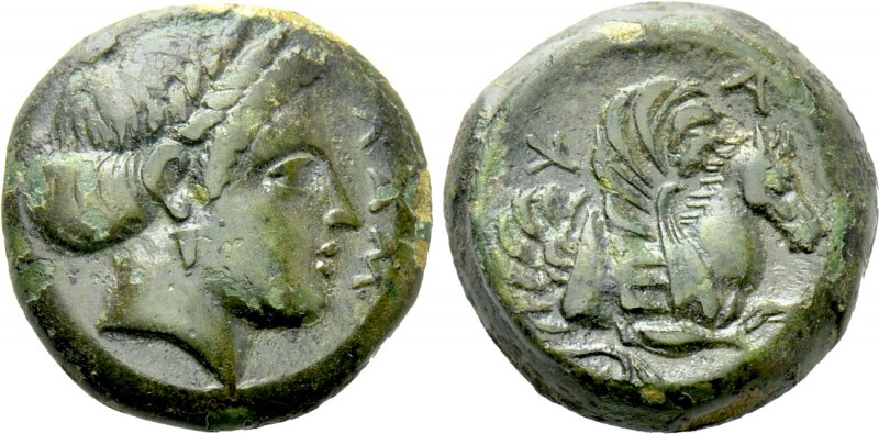 MYSIA. Lampsakos. Ae (4th-3rd centuries BC). 

Obv: ΛΑΜ. 
Laureate head of fe...