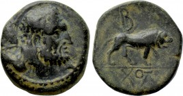 KINGS OF GALATIA. Amyntas (36-25 BC). Ae. Dated RY 5 (31/0).