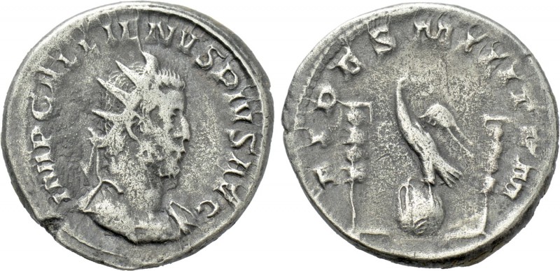 GALLIENUS (253-268). Antoninianus. Colonia Agrippinensis. 

Obv: IMP GALLIENVS...