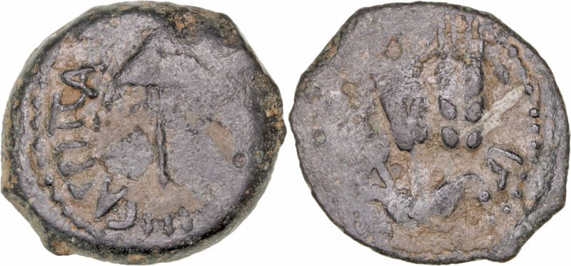 Judea. Agripa I. Prutah. AE. (37-44 d.C.). A/Sombrilla y ley. R/Tres espigas y l...