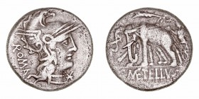 Caecilia. Denario. AR. Roma. (125 a.C.). A/Cabeza de Roma a der., delante X y detrás ROMA. R/Júpiter con haz de rayos en biga arrastrada por elefantes...