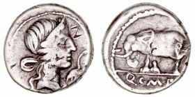 Caecilia. Denario. AR. Hispania. (81 a.C.). A/Cabeza de la Piedad a der., delante cigüeña. R/Elefante a izq., en exergo Q.C.M.(P.I). 3.58g. FFC.214. P...