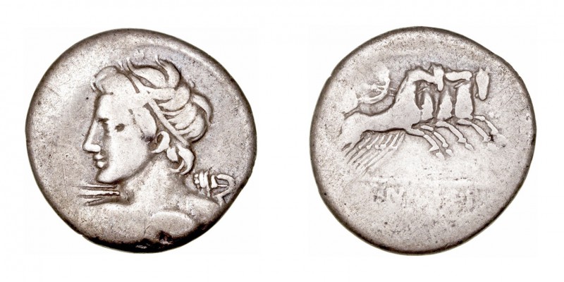 Licinia. Denario. AR. Roma. (84 a.C.). A/Cabeza diademada de Apolo Vejovis a la ...