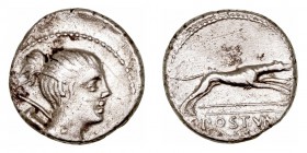Postumia. Denario. AR. Roma. (74 a.C.). A/Cabeza de Diana a der., sobre sus espaldas arco y carcaj. R/Perro a derecha, debajo lanza y en exergo C· POS...