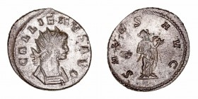 Galieno. Antoniniano. VE. Roma. (253-268). R/SALVS AVG. 3.74g. RIC.274. Muy bonita pieza. EBC.