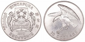 Singapur. 10 Dólares. AR. 1972. 30.98g. KM.-. EBC-.