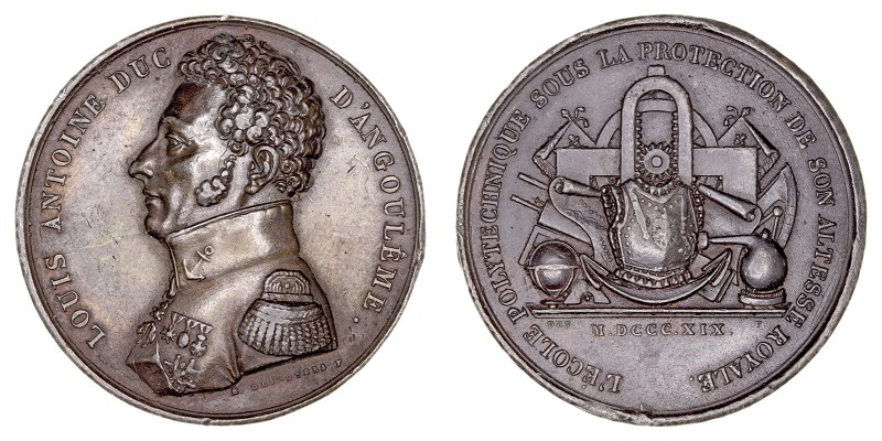 Francia. Medalla. Estaño. Luis Antonio Duque de Angouleme, 1819. Grabador Desnoy...