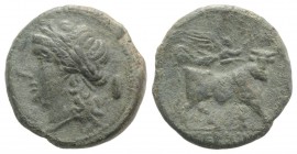 Samnium, Aesernia, c. 263-240 BC. Æ (20mm, 5.97g, 12h). Laureate head of Apollo l.; shield behind. R/ Man-headed bull walking r.; Victory flying above...
