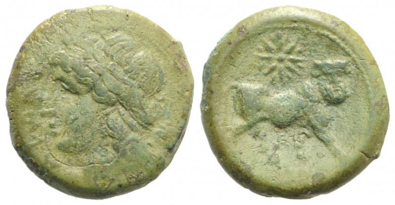 Northern Campania, Cales, c. 265-240 BC. Æ (20mm, 6.52g, 6h). Laureate head of A...