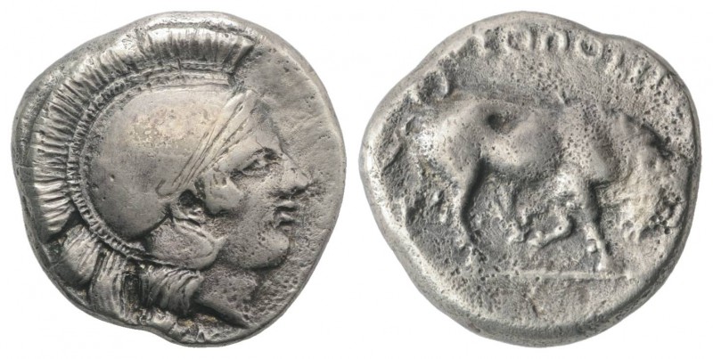 Southern Campania, Neapolis, c. 420-400 BC. AR Didrachm (19mm, 7.39g, 5h). Head ...
