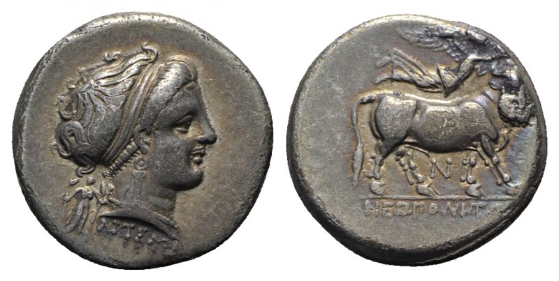 Southern Campania, Neapolis, c. 300-275 BC. AR Didrachm (20mm, 7.34g, 6h). Diade...