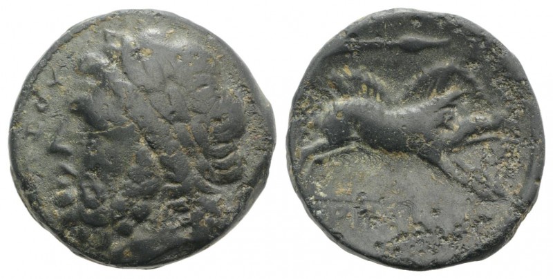 Northern Apulia, Arpi, 3rd century BC. Æ (21mm, 7.54g, 5h). Laureate head of Zeu...