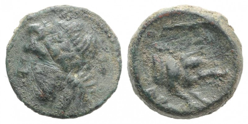 Northern Apulia, Arpi, c. 325-275 BC. Æ (14mm, 3.55g, 12h). Laureate head of Zeu...