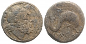 Northern Apulia, Luceria, c. 211-200 BC. Æ Teruncius (21mm, 9.59g, 1h). Diademed head of Neptune r. R/ Dolphin r.; above, trident head r. HNItaly 680 ...