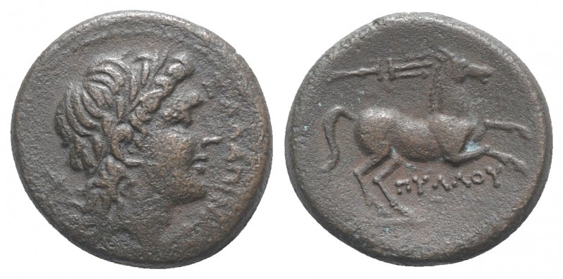Northern Apulia, Salapia, c. 225-210 BC. Æ (21mm, 6.08g, 11h). Poullos, magistra...