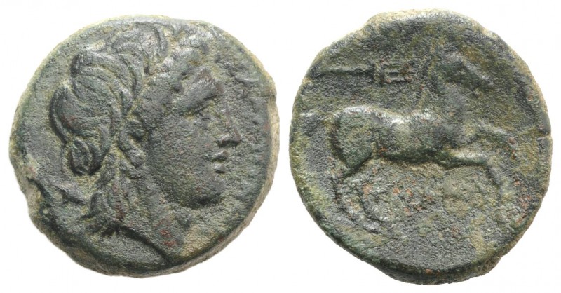 Northern Apulia, Salapia, c. 225-210 BC. Æ (21mm, 7.81g, 6h). Poullos, magistrat...