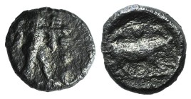 Northern Lucania, Poseidonia, c. 445-420 BC. AR Obol (6mm, 0.36g, 3h). Poseidon wielding trident r. R/ Bull standing r. HNItaly 1121. Porous, near VF