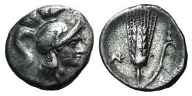 Southern Lucania, the Lucani or Metapontion, c. 280-278 BC. AR Drachm (16mm, 2.97g, 6h). Helmeted head of Athena r. R/ Barley grain with leaf to r.; c...