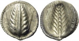 Southern Lucania, Metapontion, c. 540-510 BC. AR Stater (28mm, 7.91g, 12h). Barley-ear. R/ Barley-ear incuse. Noe 4; HNItaly 1459. Toned, high relief,...