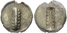 Southern Lucania, Metapontion, c. 540-510 BC. AR Stater (29mm, 7.82g, 12h). Barley-ear. R/ Incuse barley ear. Noe 75; HNItaly 1467. Toned, minor lack ...