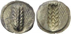 Southern Lucania, Metapontion, c. 540-510 BC. AR Stater (30mm, 8.22g, 12h). Barley-ear. R/ Incuse barley ear. Noe 89; HNItaly 1470. High relief, EF