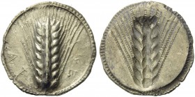 Southern Lucania, Metapontion, c. 540-510 BC. AR Stater (29mm, 8.21g, 12h). Barley-ear. R/ Incuse barley ear. Noe 94; HNItaly 1470. Lightly toned, EF