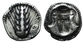 Southern Lucania, Metapontion, c. 470-440 BC. AR Triobol (11mm, 1.33g, 6h). Barley ear. R/ Incuse bucranium. Noe 285; HNItaly 1487. VF