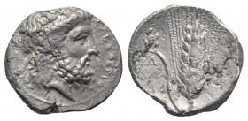Southern Lucania, Metapontion, c. 340-330 BC. AR Stater (20mm, 7.66g, 11h). Laureate head of Zeus Eleutherios r.; Δ behind. R/ Barley ear of seven gra...