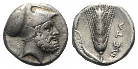 Southern Lucania, Metapontion, c. 340-330 BC. AR Stater (19mm, 7.63g, 6h). Helmeted head of Leukippos r. R/ Barley ear with seven grains; club on leaf...