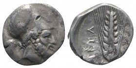 Southern Lucania, Metapontion, c. 340-330 BC. AR Stater (20.5mm, 7.49g, 9h). Head of Leukippos r., wearing Corinthian helmet. R/ Barley ear, leaf to r...