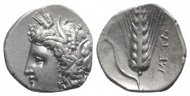 Southern Lucania, Metapontion, c. 330-290 BC. AR Stater (20mm, 7.80g, 6h). Wreathed head of Demeter l. R/ Barley ear of seven grains with leaf to l.; ...
