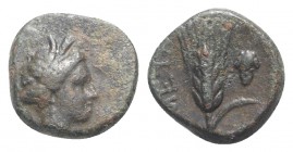 Southern Lucania, Metapontion, c. 300-275 BC. Æ (10mm, 1.29g, 4h). Wreathed head of Demeter r. R/ Barley-ear with leaf to r.; grape bunch to r. Johnst...