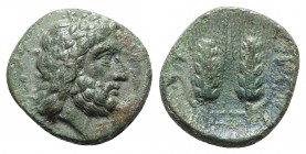 Southern Lucania, Metapontion, c. 300-250 BC. Æ (15mm, 2.72g, 1g). Laureate head of Zeus r. R/ Two barley-ears with leaf on outside of stalk. Johnston...