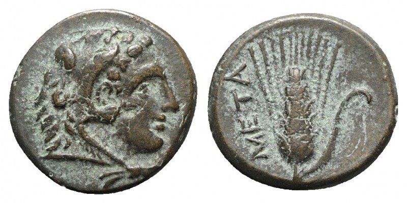 Southern Lucania, Metapontion, c. 300-250 BC. Æ (13mm, 2.54g, 3h). Head of Herak...