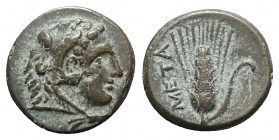 Southern Lucania, Metapontion, c. 300-250 BC. Æ (13mm, 2.54g, 3h). Head of Herakles r., wearing lion's skin headdress. R/ Ear of barley. Johnston Bron...